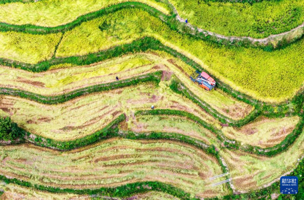 湖北：金秋處處好“豐”景